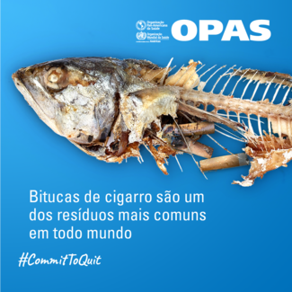 Bitucas de cigarro são um dos resíduos mais comuns em todo mundo.