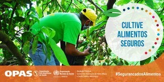 Postal Redes Sociais