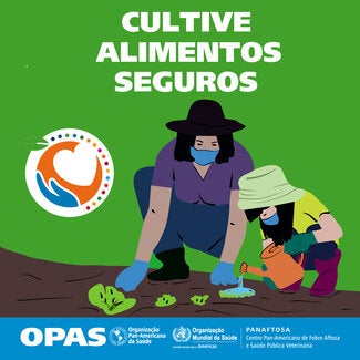 Postal Redes Sociais