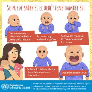 Tu bebé te indica que tiene hambre cuando...