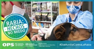 Postais Redes Sociais