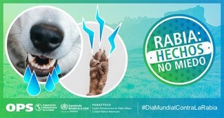 Postais Redes Sociais