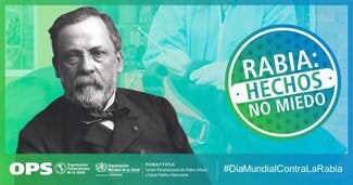 Postais Redes Sociais