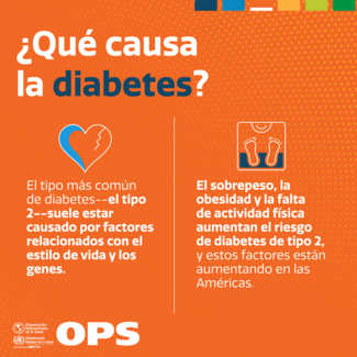 ¿Qué causa la diabetes?