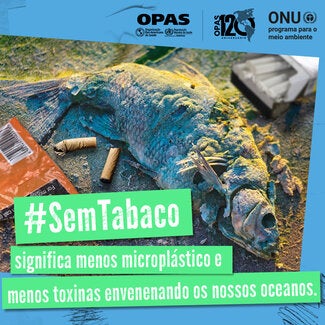 Post 5 para redes sociais