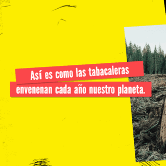 Post 1 para redes sociales - GIF