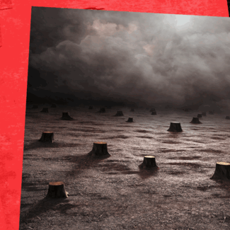 Social Media Post 2 - GIF