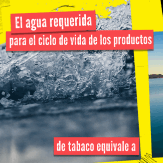 Post 7 para redes sociales - GIF