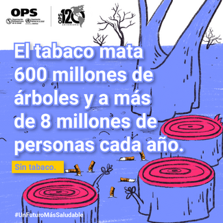 Post 9 para redes sociales