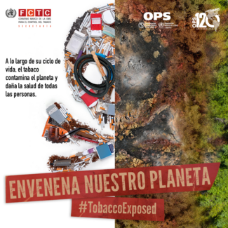 Afiche de la imagen de la campaña principal para Instagram