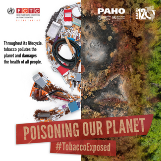 PAHO Main Campaign Poster in English for Instagram