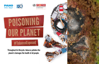 PAHO Main Campaign Poster in English for Web