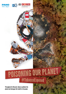 PAHO Main Campaign Poster in English