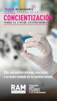 OMSA: (Argentina) Afiche "Concientización sobre el uso de antimicrobianos", 2020