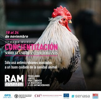 OMSA: (Argentina) Tarjeta para redes sociales "Uso de antimicrobianos" 1, 2020