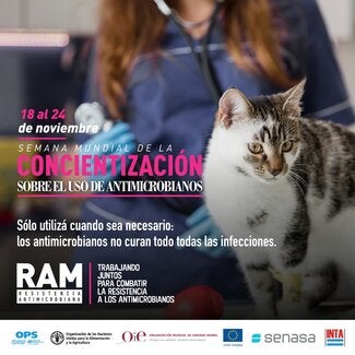 OMSA: (Argentina) Tarjeta para redes sociales "Uso de antimicrobianos" 2, 2020