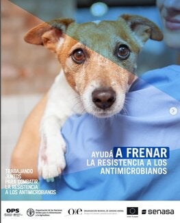 Proyecto UE-OPS-OMSA-FAO: (Argentina) Tarjeta para redes sociales 1, 2021