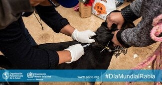 Día Mundial de Lucha contra la Rabia 2018