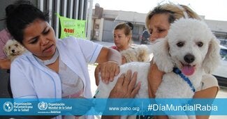 Día Mundial de Lucha contra la Rabia 2018