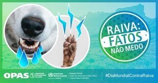 Postais Redes Sociais