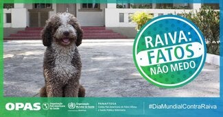 Postais Redes Sociais