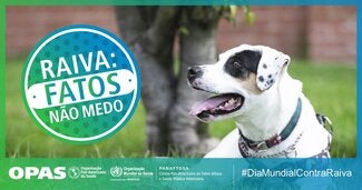 Postais Redes Sociais