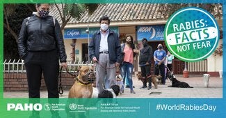 Postcards Social Networks