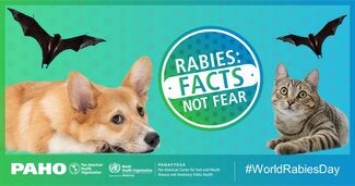 Postcards Social Networks