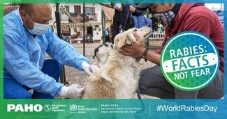 Postcards Social Networks