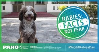 Postcards Social Networks