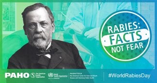 Postcards Social Networks