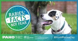 Postcards Social Networks