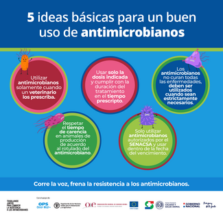(Paraguay) Flyer SENACSA RAM 02, 2021