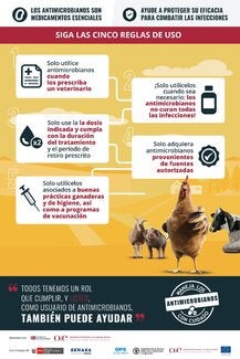 (Perú) Afiche RAM, 2021