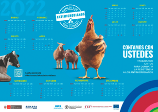 (Perú) Calendario RAM, 2021