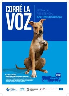 (Uruguay) Afiche RAM 3, 2021