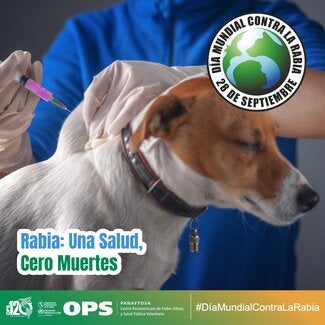 Día Mundial contra la Rabia