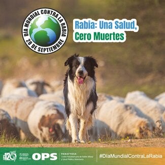 Día Mundial contra la Rabia