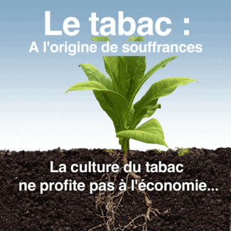 Le monde a besoin de plus de nourriture, pas de tabac.