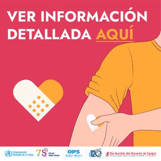 DMDS 2023 - Carrusel 1