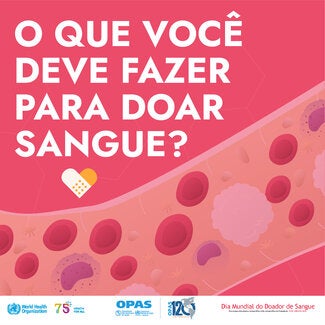 DMDS23 Carrossel de Mídias Sociais 