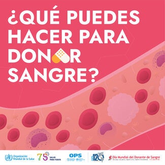 DMDS 2023 - Carrusel 2