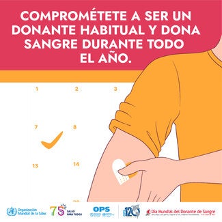 DMDS 2023 - Carrusel 2