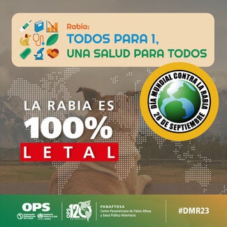 Tarjetas Redes Sociales Día Mundial contra la Rabia 2023