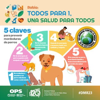 Tarjetas Redes Sociales Día Mundial contra la Rabia 2023 5 Claves para evitar mordidas