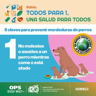 Tarjetas Redes Sociales Día Mundial contra la Rabia 2023