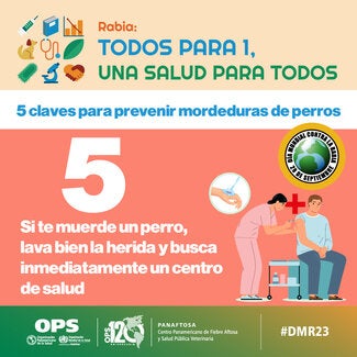 Tarjetas Redes Sociales Día Mundial contra la Rabia 2023