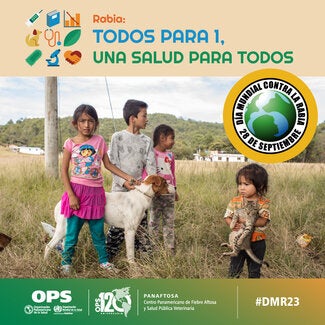 Tarjetas Redes Sociales Día Mundial contra la Rabia 2023