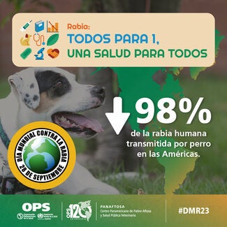 Tarjetas Redes Sociales Día Mundial contra la Rabia 2023 reducción en las Américas