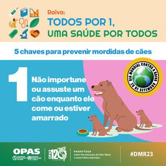 Cards Mídias sociais Raiva 2023